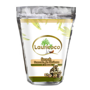 Snack Lanche Semente de Abóbora, Uvas-Passas e Gergilim 500g  | Asiático