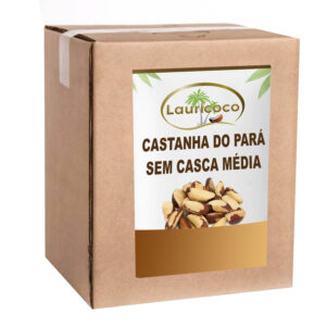 Castanha Do Pará Sem Casca Média 5 Kg